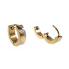 ∅13mm x 4mm Oorringen Unisex - Goudkleurig RVS - Bicolor Oorbellen met Strepen Dames - Heren