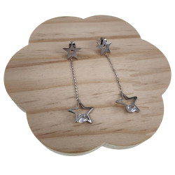 Langer 56cm Oorbellen Dames Gepolijst RVS - Steroorbellen met Ketting