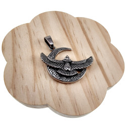 49mm Gepolijst RVS - Halve Maan Hanger met Adelaar Dames - Heren