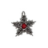Jasseron-Ketting met Sterhanger van RVS en Rode Howlietsteen - Unisex