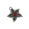 Jasseron-Ketting met Sterhanger van RVS en Rode Howlietsteen - Unisex