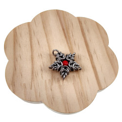 Jasseron-Ketting met Sterhanger van RVS en Rode Howlietsteen - Unisex