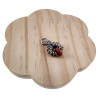 55cm RVS Jasseron-Ketting + Goudkleurige Zandsteen Hanger Unisex