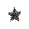 Jasseron-Ketting met Sterhanger van RVS en Turquoise Howlietsteen - Unisex
