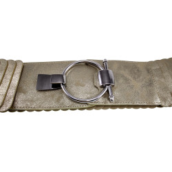 Dames - 8 cm Breed Beige-Goudkleurige Stretch Riem Voor Jurk of Tuniek