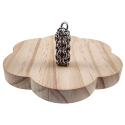 Dames RVS Jasseron-Ketting + Buis Hanger met Paarse Kristallen