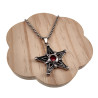 Ster Hanger Unisex - Roestvrij Staal - Pentagram met Rode Zirkonia