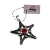 Ster Hanger Unisex - Roestvrij Staal - Pentagram met Rode Zirkonia