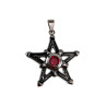 Ster Hanger Unisex - Roestvrij Staal - Pentagram met Rode Zirkonia