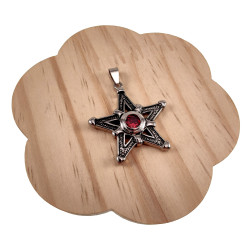 Ster Hanger Unisex - Roestvrij Staal - Pentagram met Rode Zirkonia