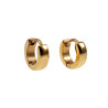 ∅10mm x 3mm Oorbellen Unisex - Verguld RVS - Oorringen Dames - Heren