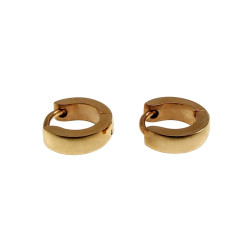 ∅10mm x 3mm Oorbellen Unisex - Verguld RVS - Oorringen Dames - Heren