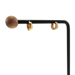 ∅10mm x 3mm Oorbellen Unisex - Verguld RVS - Oorringen Dames - Heren