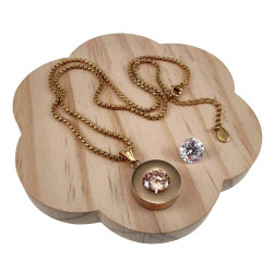 Verguld RVS Jasseron Ketting met Ronde Hanger - Dames - Schroefhanger