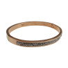 Roségoud RVS Bangle Armband met Fonkelende ZirkoniaS Dames