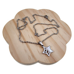 Dames RVS Kabelketting en Ster Hanger met Natuurparelmoer Lengte 50cm