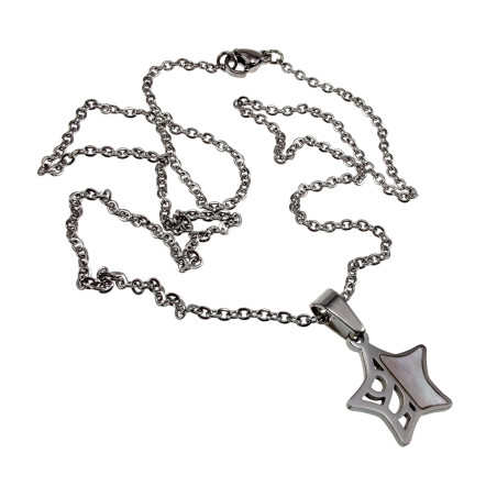 Dames RVS Kabelketting en Ster Hanger met Natuurparelmoer Lengte 50cm