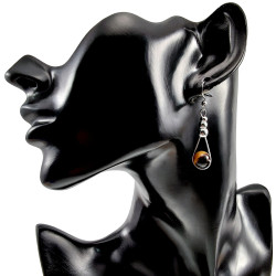 Dames RVS Haakoorbellen met Natuurlijke Tijgeroog Steen - Lengte 48mm