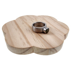 Licht Geborsteld RVS Ring met Kiwi-Groene Zirkonia - Dames