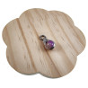 RVS Jasseron-Ketting + Maansteen Hanger in Paarse en Lichtbruine Dames
