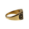 Klassieke Heren Zegelring met Fleur-de-lis Design - Verguld RVS