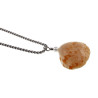 RVS Jasseron-Ketting + Hanger met Natuurlijke Schelp en Zoetwaterparels