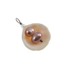 RVS Jasseron-Ketting + Hanger met Natuurlijke Schelp en Zoetwaterparels