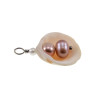 RVS Jasseron-Ketting + Hanger met Natuurlijke Schelp en Zoetwaterparels