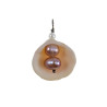 RVS Jasseron-Ketting + Hanger met Natuurlijke Schelp en Zoetwaterparels