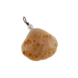 RVS Jasseron-Ketting + Hanger met Natuurlijke Schelp en Zoetwaterparels